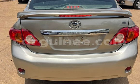 Buy Used Toyota Corolla Brown Car in Conakry in Conakry Buy Used Toyota Corolla Brown Car in Conakry in Conakry