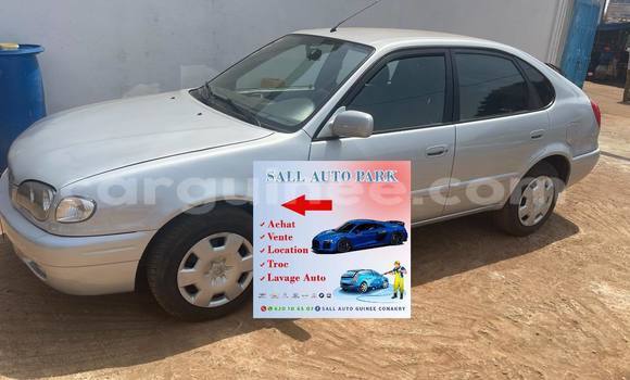 Buy Used Toyota Corolla Silver Car in Conakry in Conakry Buy Used Toyota Corolla Silver Car in Conakry in Conakry