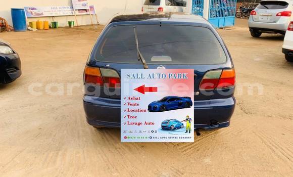 Buy Used Nissan Almera Blue Car in Conakry in Conakry Buy Used Nissan Almera Blue Car in Conakry in Conakry