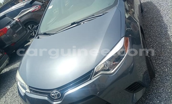 Acheter Occasion Voiture Toyota Corolla Bleu à Conakry, Conakry Acheter Occasion Voiture Toyota Corolla Bleu à Conakry, Conakry