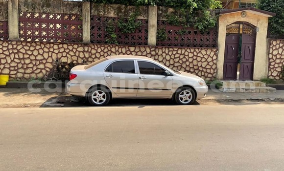 Acheter Occasion Voiture Toyota Corolla Gris à Conakry, Conakry Acheter Occasion Voiture Toyota Corolla Gris à Conakry, Conakry