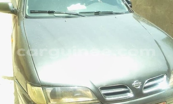 Acheter Occasion Voiture Nissan Almera Autre à Conakry, Conakry Acheter Occasion Voiture Nissan Almera Autre à Conakry, Conakry
