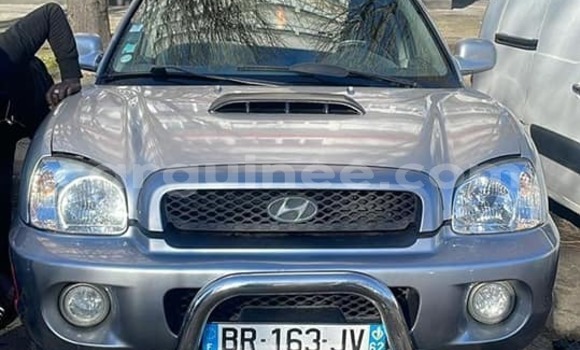 Acheter Occasion Voiture Hyundai Santa Fe Gris à Conakry, Conakry Acheter Occasion Voiture Hyundai Santa Fe Gris à Conakry, Conakry