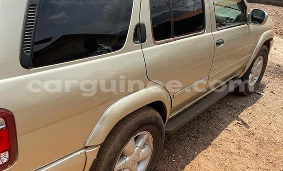 Acheter Occasion Voiture Nissan Pathfinder Marron à Conakry, Conakry Acheter Occasion Voiture Nissan Pathfinder Marron à Conakry, Conakry