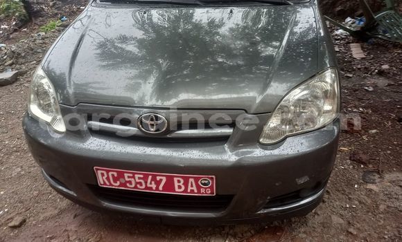 Buy Used Toyota Corolla Other Car in Conakry in Conakry Buy Used Toyota Corolla Other Car in Conakry in Conakry