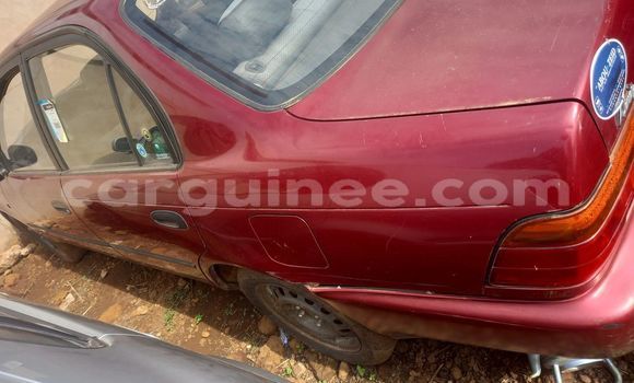 Buy Used Toyota Corolla Red Car in Conakry in Conakry Buy Used Toyota Corolla Red Car in Conakry in Conakry