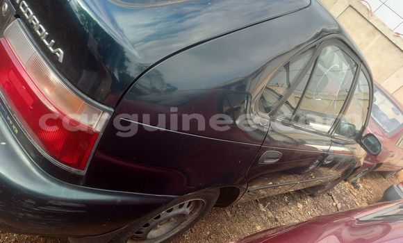 Buy Used Toyota Corolla Black Car in Conakry in Conakry Buy Used Toyota Corolla Black Car in Conakry in Conakry