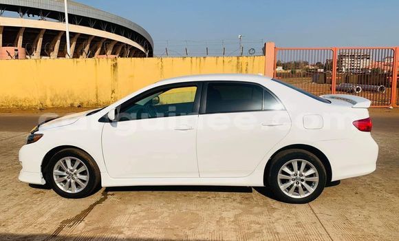 Buy Used Toyota Corolla White Car in Conakry in Conakry Buy Used Toyota Corolla White Car in Conakry in Conakry