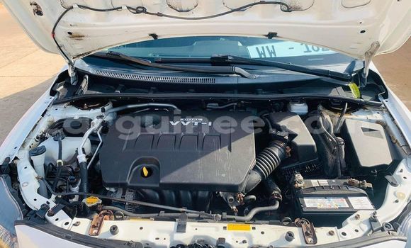 Buy Used Toyota Corolla White Car in Conakry in Conakry Buy Used Toyota Corolla White Car in Conakry in Conakry