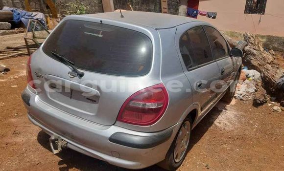 Acheter Occasion Voiture Nissan Almera Gris à Conakry, Conakry Acheter Occasion Voiture Nissan Almera Gris à Conakry, Conakry