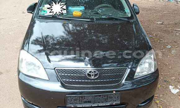Buy Used Toyota Corolla Black Car in Conakry in Conakry Buy Used Toyota Corolla Black Car in Conakry in Conakry