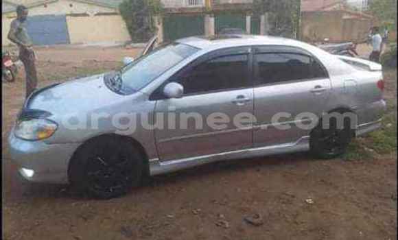 Buy Used Toyota Corolla Silver Car in Conakry in Conakry Buy Used Toyota Corolla Silver Car in Conakry in Conakry