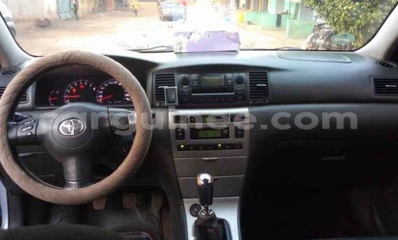 Buy Used Toyota Corolla Blue Car in Conakry in Conakry Buy Used Toyota Corolla Blue Car in Conakry in Conakry