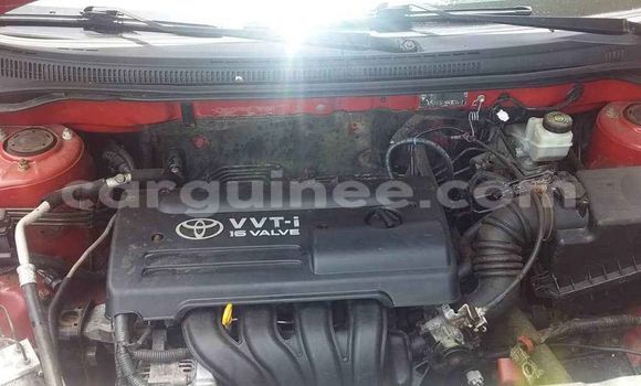 Buy Used Toyota Corolla Red Car in Conakry in Conakry Buy Used Toyota Corolla Red Car in Conakry in Conakry