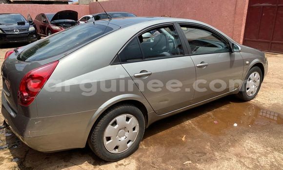 Buy Used Nissan Primera Other Car in Conakry in Conakry Buy Used Nissan Primera Other Car in Conakry in Conakry