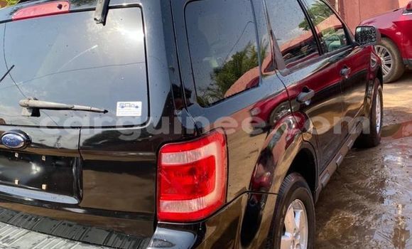 Buy Used Ford Escape Black Car in Conakry in Conakry Buy Used Ford Escape Black Car in Conakry in Conakry