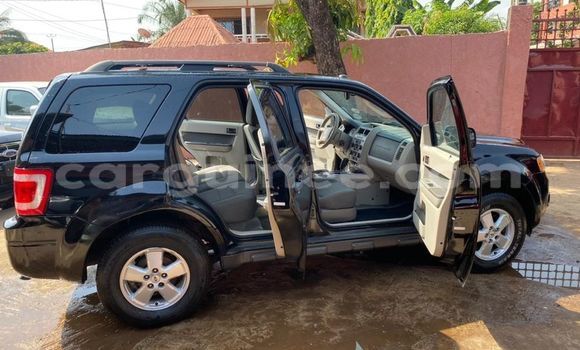Buy Used Ford Escape Black Car in Conakry in Conakry Buy Used Ford Escape Black Car in Conakry in Conakry