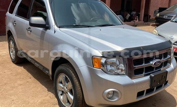 Buy Used Ford Escape Silver Car in Conakry in Conakry