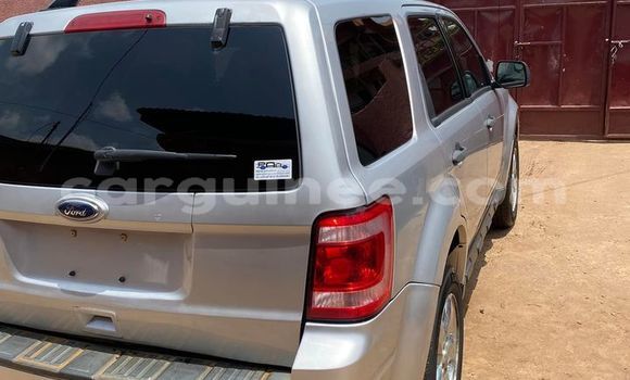 Buy Used Ford Escape Silver Car in Conakry in Conakry Buy Used Ford Escape Silver Car in Conakry in Conakry