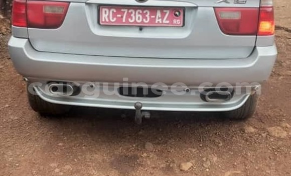 Acheter Occasion Voiture BMW X5 Gris à Conakry, Conakry Acheter Occasion Voiture BMW X5 Gris à Conakry, Conakry