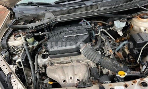 Acheter Occasion Voiture Toyota RAV4 Gris à Conakry, Conakry Acheter Occasion Voiture Toyota RAV4 Gris à Conakry, Conakry