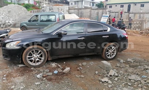 Acheter Occasion Voiture Nissan Maxima Noir à Conakry, Conakry Acheter Occasion Voiture Nissan Maxima Noir à Conakry, Conakry