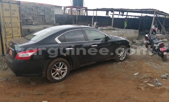 Acheter Occasion Voiture Nissan Maxima Noir à Conakry, Conakry Acheter Occasion Voiture Nissan Maxima Noir à Conakry, Conakry