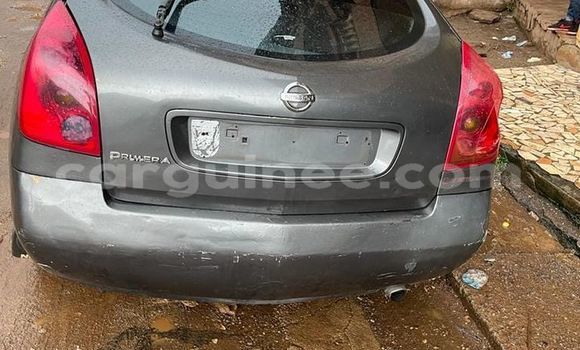 Buy Used Nissan Almera Other Car in Conakry in Conakry Buy Used Nissan Almera Other Car in Conakry in Conakry