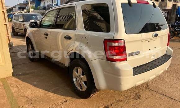 Buy Used Ford Escape White Car in Conakry in Conakry Buy Used Ford Escape White Car in Conakry in Conakry