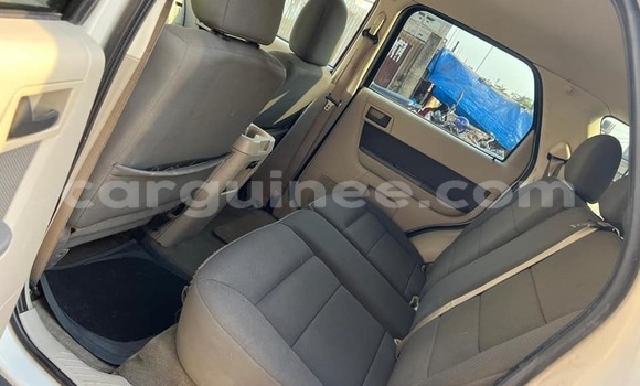 Buy Used Ford Escape White Car in Conakry in Conakry Buy Used Ford Escape White Car in Conakry in Conakry