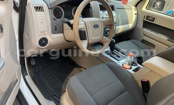 Buy Used Ford Escape White Car in Conakry in Conakry Buy Used Ford Escape White Car in Conakry in Conakry