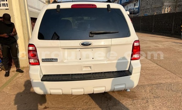 Buy Used Ford Escape White Car in Conakry in Conakry Buy Used Ford Escape White Car in Conakry in Conakry