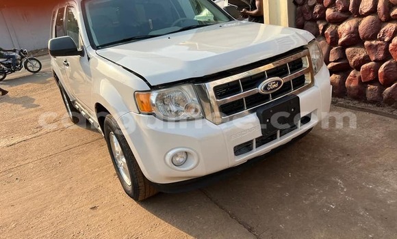 Buy Used Ford Escape White Car in Conakry in Conakry Buy Used Ford Escape White Car in Conakry in Conakry