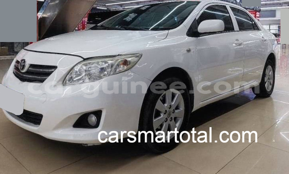 Buy Used Toyota Corolla White Car in Kissidougou in Faranah Buy Used Toyota Corolla White Car in Kissidougou in Faranah