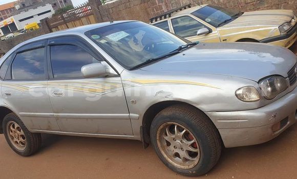 Acheter Occasion Voiture Toyota Corolla Gris à Conakry, Conakry Acheter Occasion Voiture Toyota Corolla Gris à Conakry, Conakry