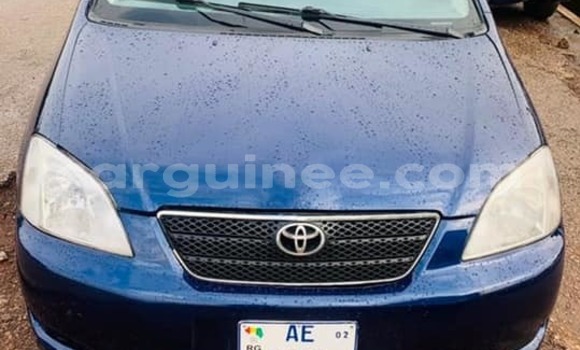 Acheter Occasion Voiture Toyota Corolla Bleu à Conakry, Conakry Acheter Occasion Voiture Toyota Corolla Bleu à Conakry, Conakry