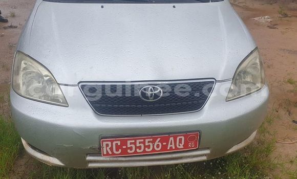 Buy Used Toyota Corolla Silver Car in Conakry in Conakry Buy Used Toyota Corolla Silver Car in Conakry in Conakry