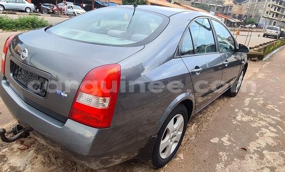 Acheter Occasion Voiture Nissan Primera Bleu à Conakry, Conakry Acheter Occasion Voiture Nissan Primera Bleu à Conakry, Conakry