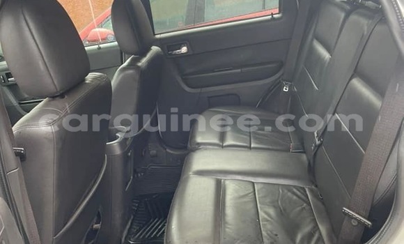 Acheter Occasion Voiture Ford Escape Gris à Conakry, Conakry Acheter Occasion Voiture Ford Escape Gris à Conakry, Conakry