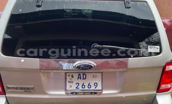 Acheter Occasion Voiture Ford Escape Gris à Conakry, Conakry Acheter Occasion Voiture Ford Escape Gris à Conakry, Conakry