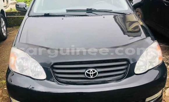 Acheter Occasion Voiture Toyota Corolla Noir à Conakry, Conakry Acheter Occasion Voiture Toyota Corolla Noir à Conakry, Conakry