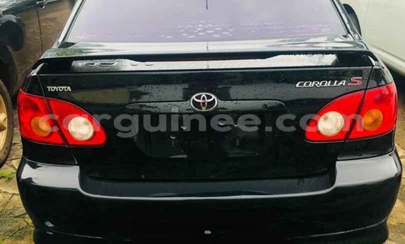 Acheter Occasion Voiture Toyota Corolla Noir à Conakry, Conakry Acheter Occasion Voiture Toyota Corolla Noir à Conakry, Conakry