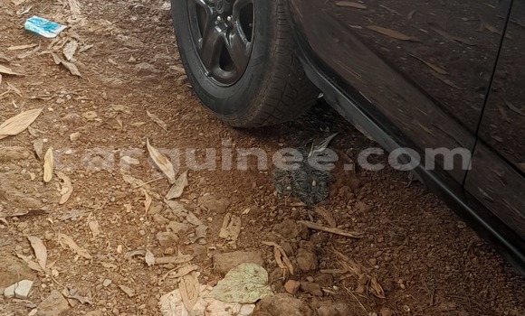 Buy Used Toyota RAV4 Black Car in Conakry in Conakry Buy Used Toyota RAV4 Black Car in Conakry in Conakry