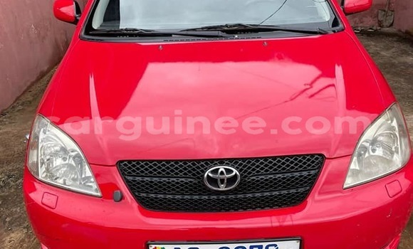 Buy Used Toyota Corolla Red Car in Conakry in Conakry Buy Used Toyota Corolla Red Car in Conakry in Conakry