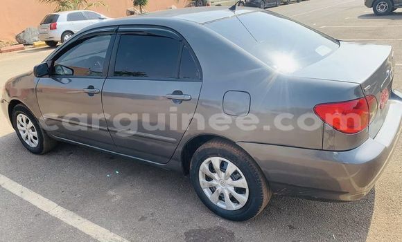 Acheter Occasion Voiture Toyota Corolla Autre à Conakry, Conakry Acheter Occasion Voiture Toyota Corolla Autre à Conakry, Conakry