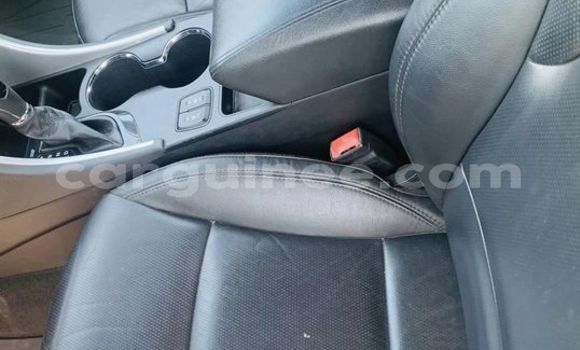 Acheter Occasion Voiture Hyundai Sonata Gris à Conakry, Conakry Acheter Occasion Voiture Hyundai Sonata Gris à Conakry, Conakry