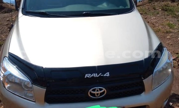 Acheter Occasion Voiture Toyota RAV4 Marron à Conakry, Conakry