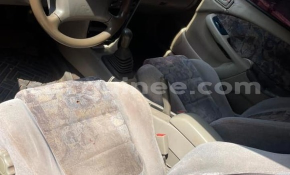 Buy Used Toyota Corolla Red Car in Conakry in Conakry Buy Used Toyota Corolla Red Car in Conakry in Conakry