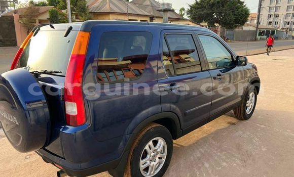 Buy Used Honda CR–V Blue Car in Conakry in Conakry Buy Used Honda CR–V Blue Car in Conakry in Conakry