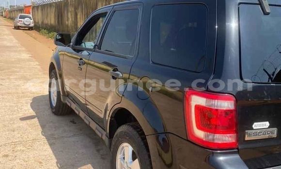 Acheter Occasion Voiture Ford Escape Bleu à Conakry, Conakry Acheter Occasion Voiture Ford Escape Bleu à Conakry, Conakry